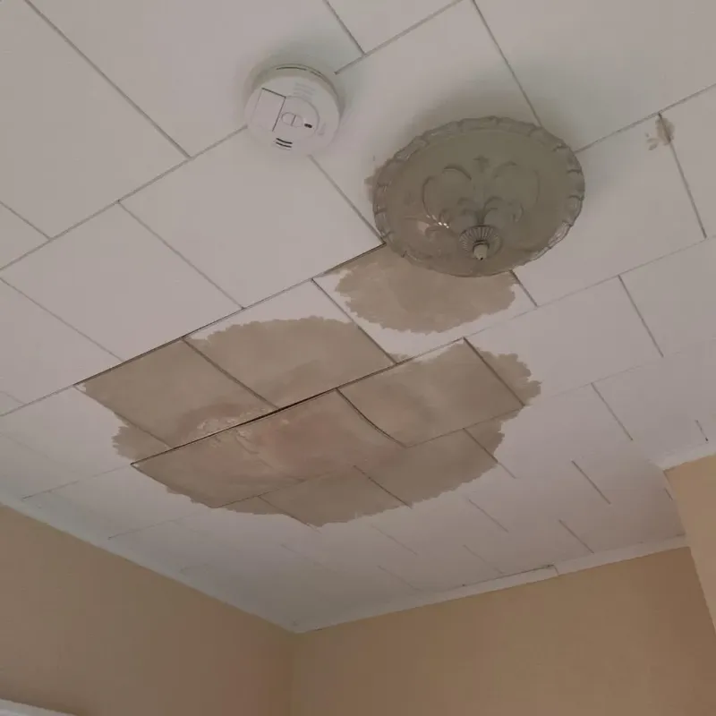Ceiling Water Damage Repair in Overland Park, KS