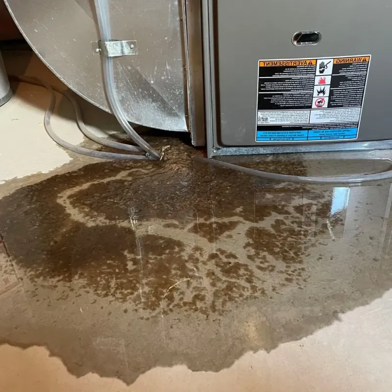 Pipe Burst and Leak Restoration in Overland Park, KS