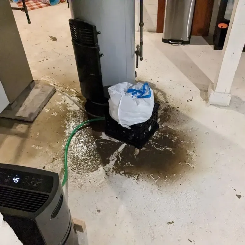 Sewage Backup Cleanup Service in Overland Park, KS